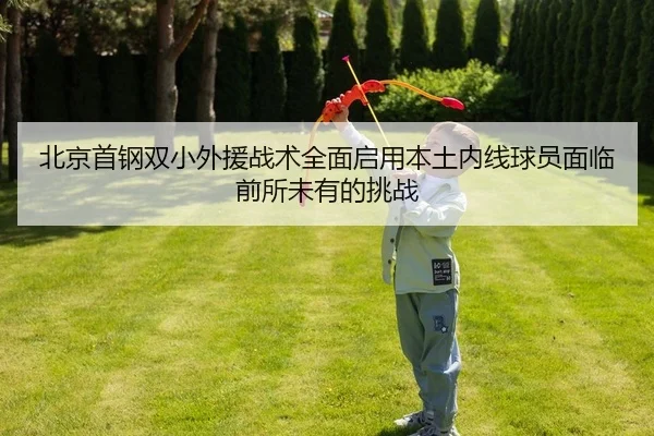 北京首钢双小外援战术全面启用本土内线球员面临前所未有的挑战