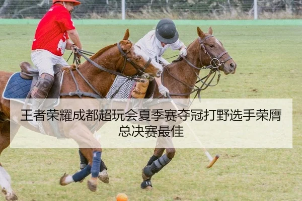 wang-zhe-rong-yao-cheng-du-chao-wan-hui-xia-ji-sai-duo-guan-da-ye-xuan-shou-rong-ying-zong-jue-sai-zui-jia-2-335.jpg