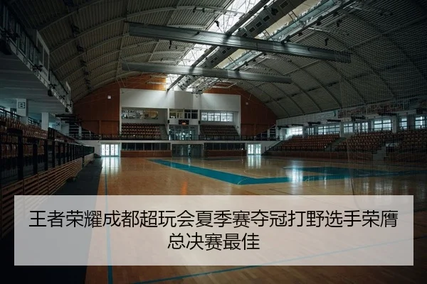王者荣耀成都超玩会夏季赛夺冠打野选手荣膺总决赛最佳